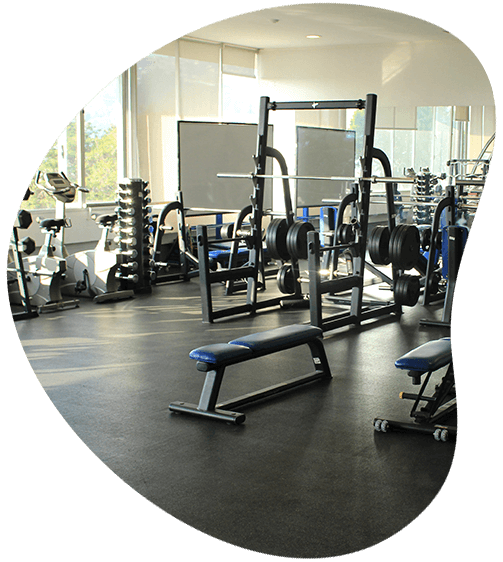 Gimnasio, Duoc UC Sede Viña del Mar